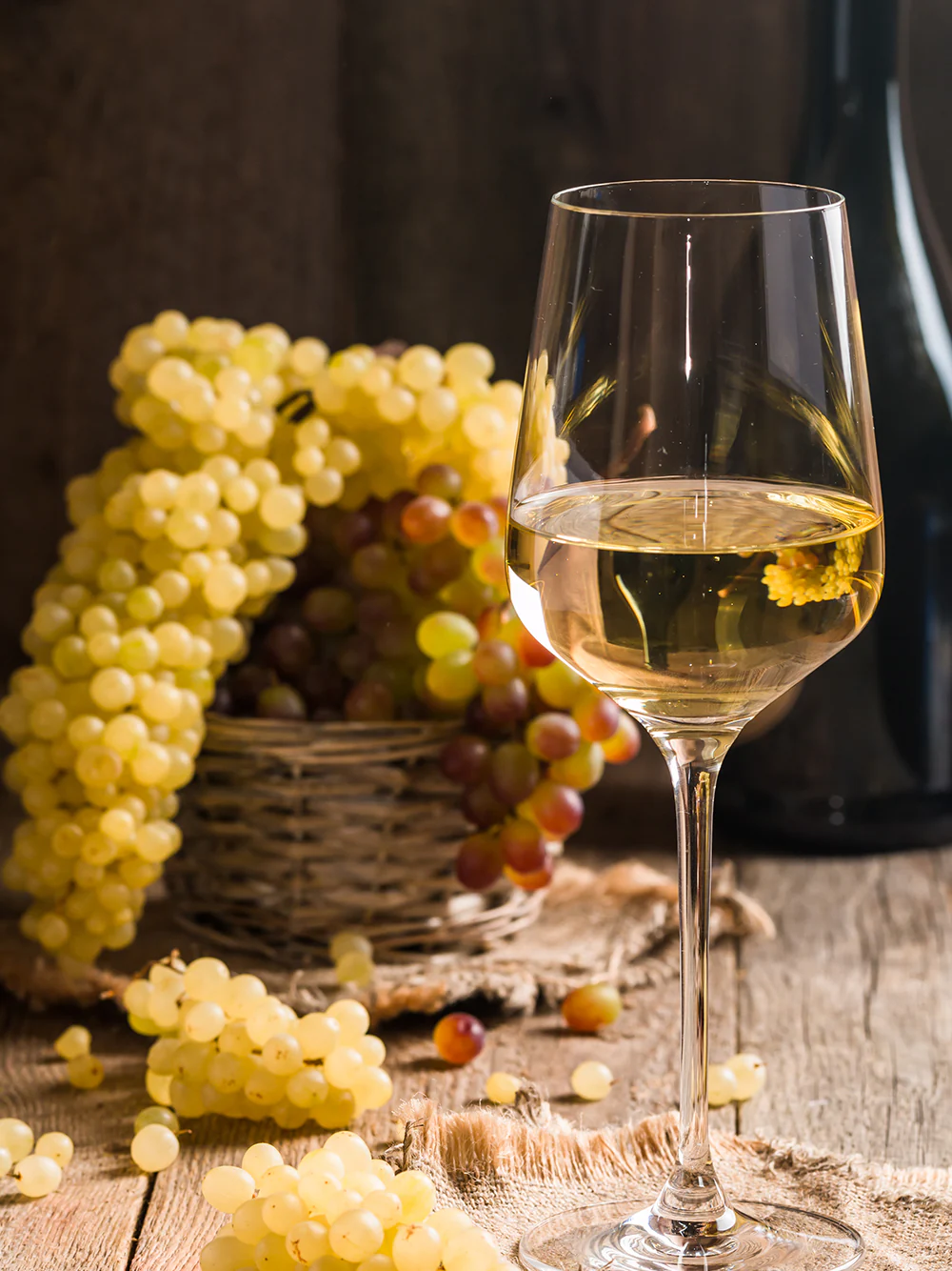 Belo vino 