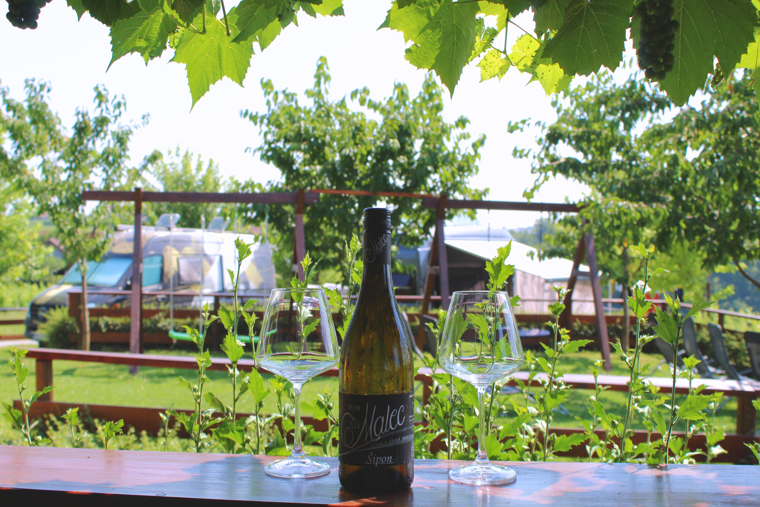 Malec Winery with Furmint (Šipon) vineyards and a motorhome parking area overlooking the Jeruzalem Hills.