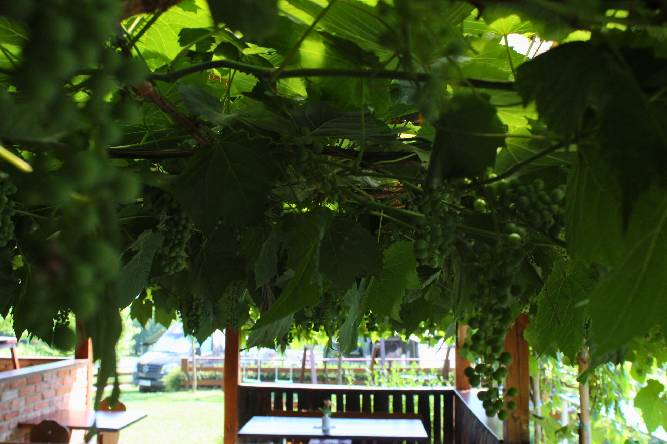 Malec Winery in Jeruzalem offers wine tastings on a charming terrace surrounded by vineyards.