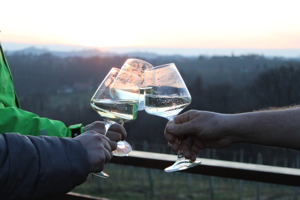 Po opravljenem delu v vinogradu si je vedno lepo vzeti trenutek za druženje. Kozarec dobrega vina, prijetna družba in pogled na prebujajočo se naravo povežejo tradicijo, prijateljstvo in veselje do življenja, ki ga v Vinogradništvu Malec negujemo skozi vse leto.