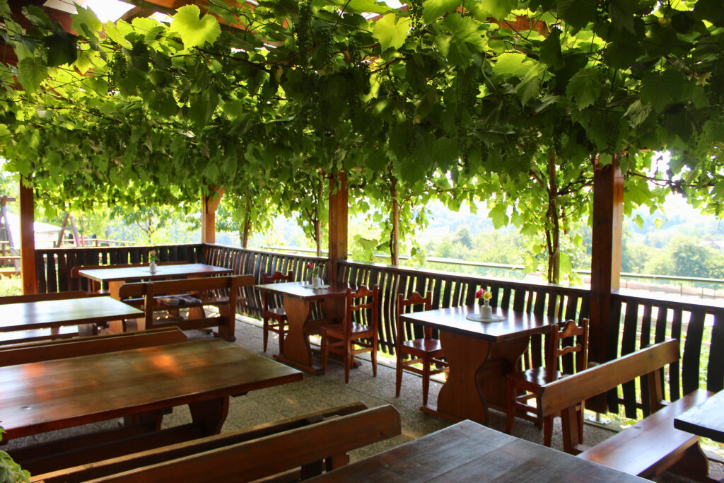 Degustacija vin na terasi Vinogradništva Malec v Jeruzalemu z razgledom na vinorodno pokrajino.